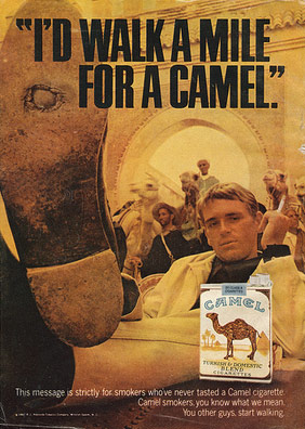 sigarette-camel
