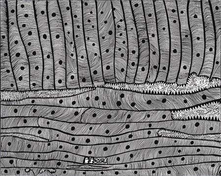 Segni di Primavera - Yayoi Kusama Segni di Primavera